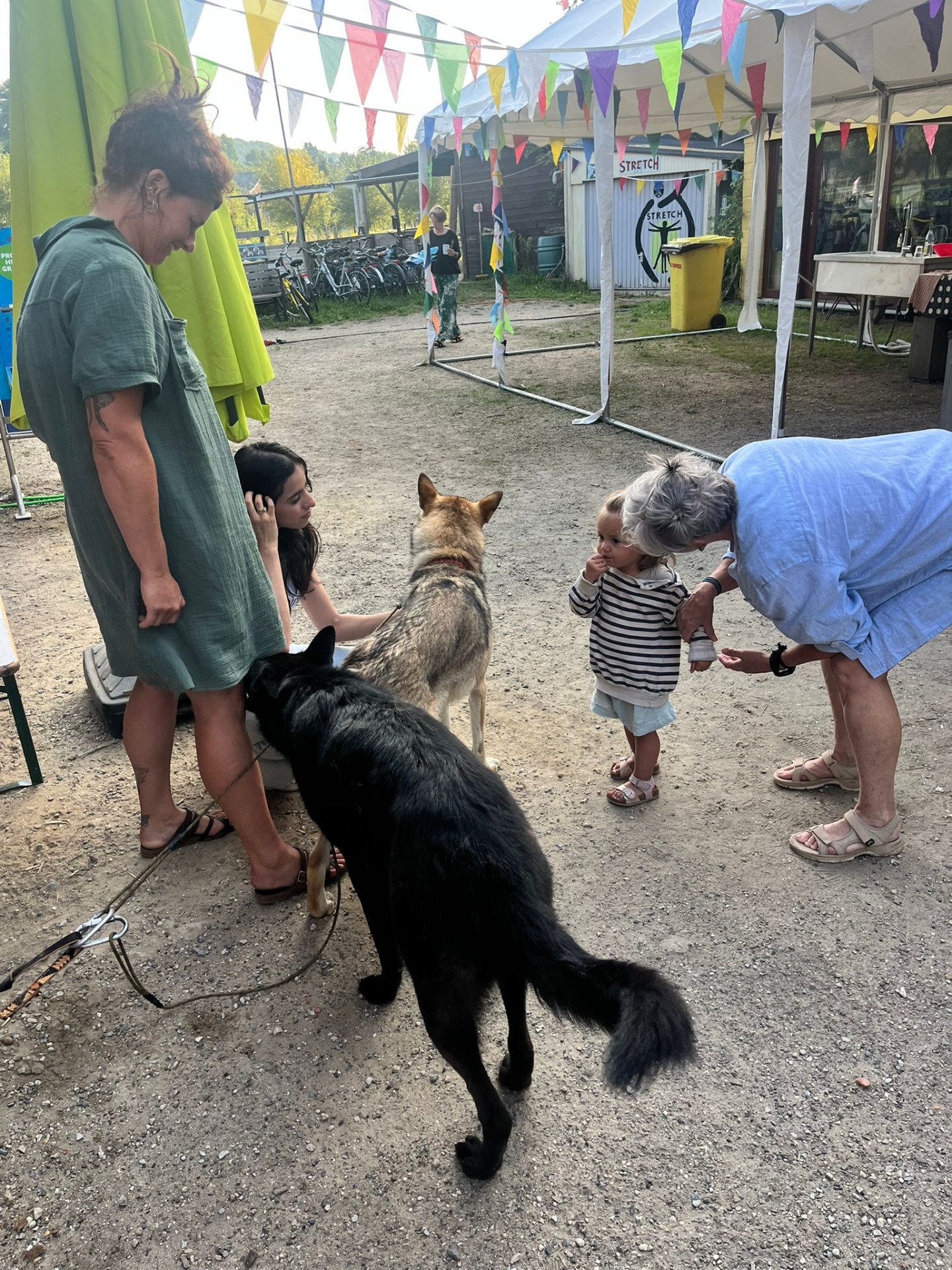 wandelen met de wolfshonden van Lien 